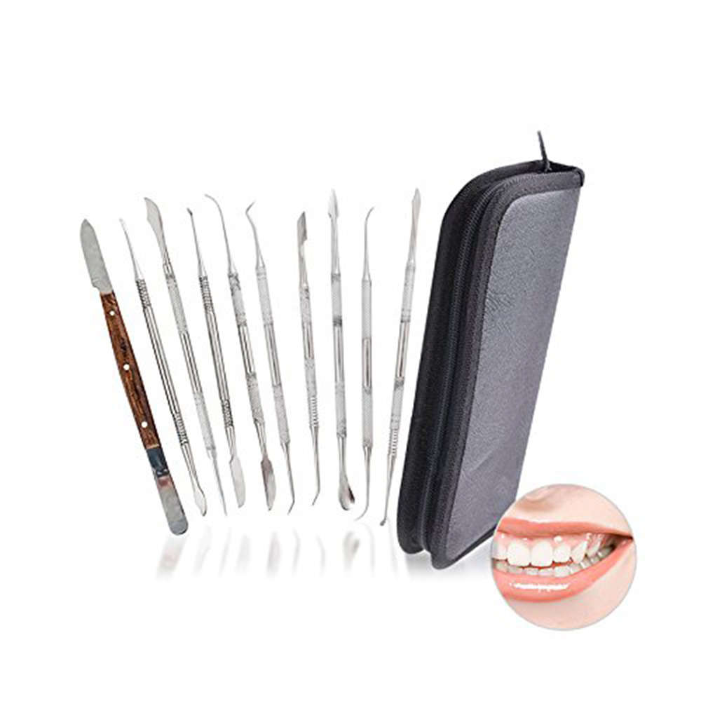 Professional Stainless Steel Dental Tools Kit - 10 Piece