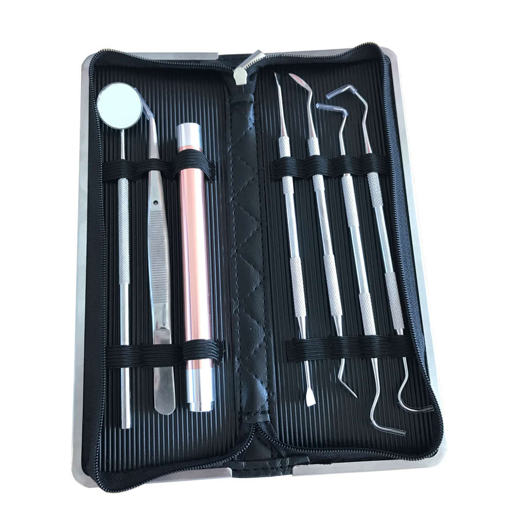 Professional Stainless Steel Dental Tools Kit - 7 Piece