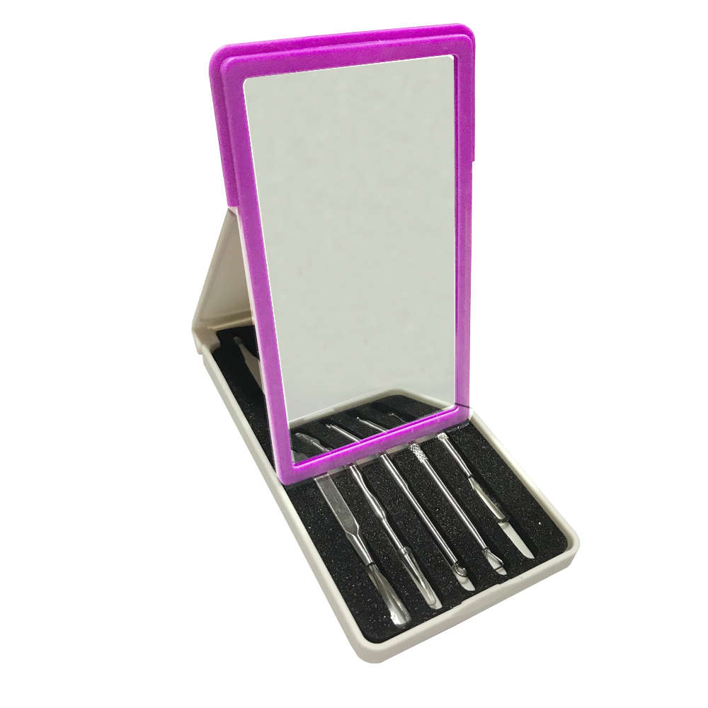 5-in-1 Stainless Steel Blackhead Remover Tool Kit - Purple