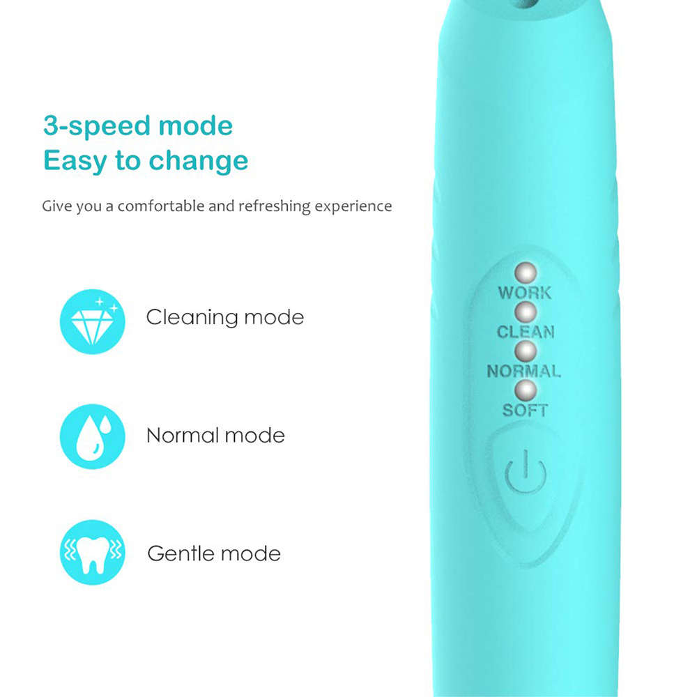 Electric Dental Calculus Plaque Remover Kit with LED Light