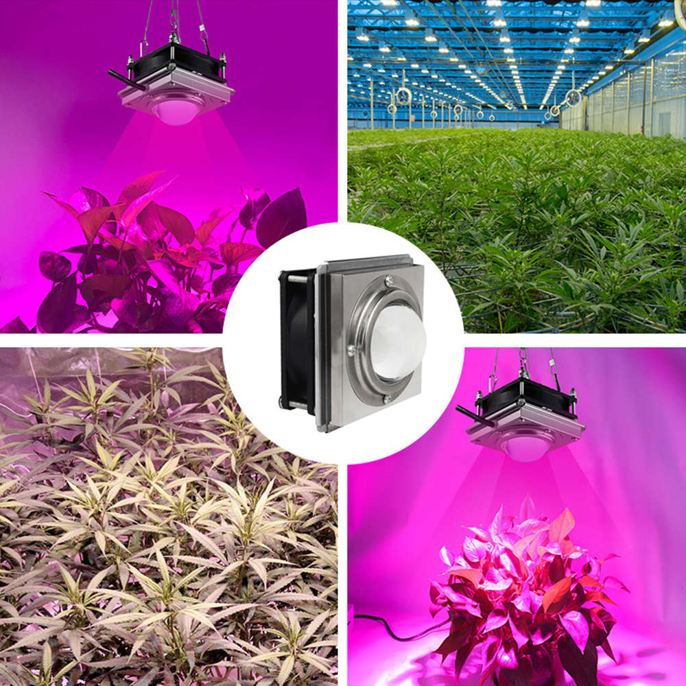 LED Full Spectrum Grow Light for Indoor Plants with Rear Fan Hooks