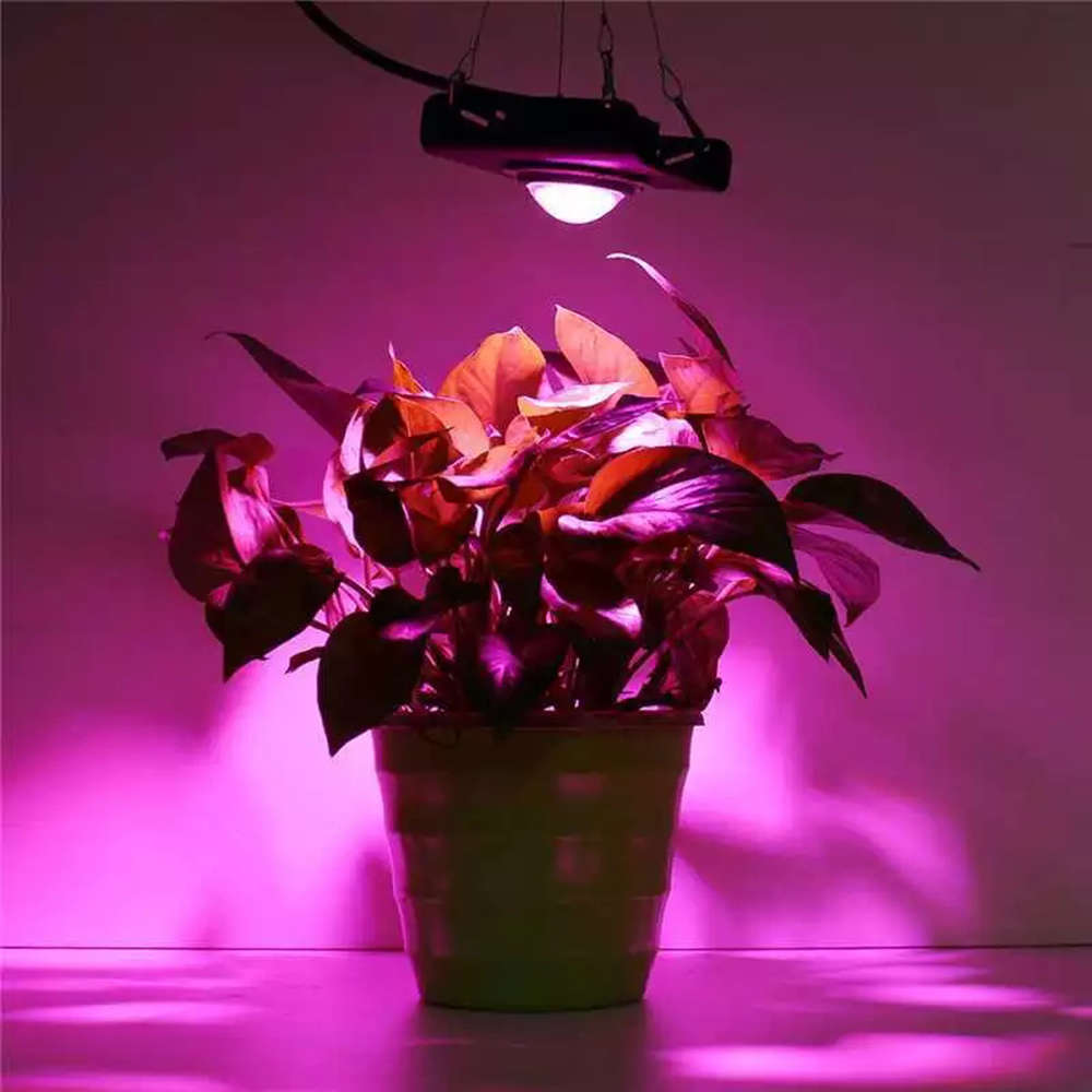 50W LED Full Spectrum Indoor Plants Grow Light with Rear Fan Hooks