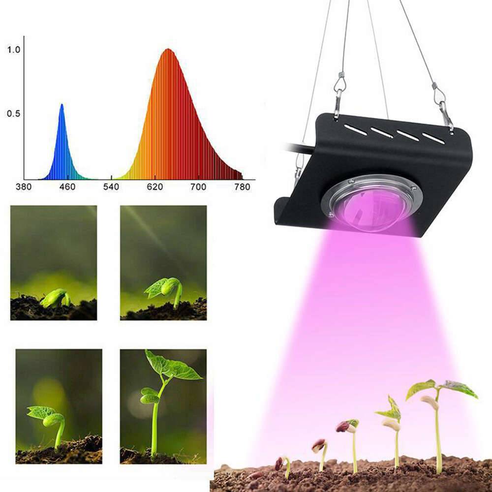 50W LED Full Spectrum Indoor Plants Grow Light with Rear Fan Hooks