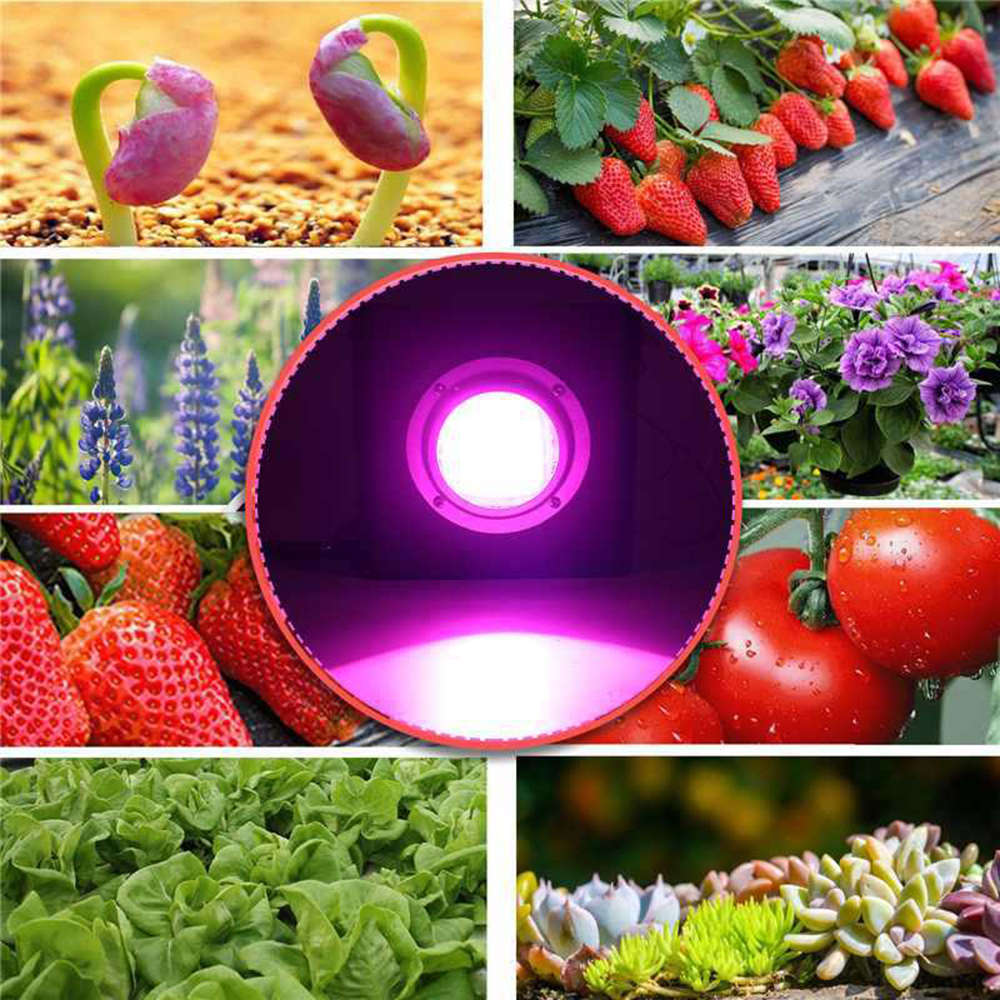 50W LED Full Spectrum Indoor Plants Grow Light with Rear Fan Hooks