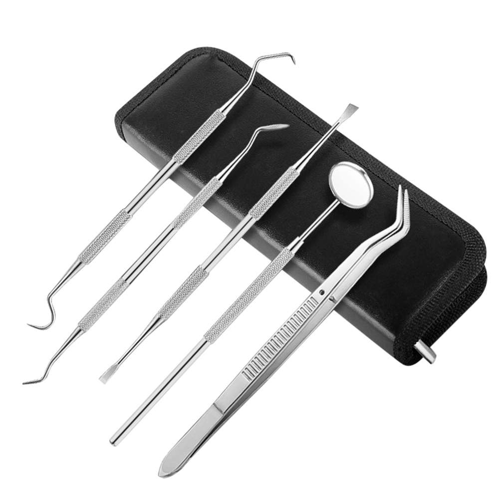 Professional Stainless Steel Dental Scaler Tools Kit Set - 5 Pieces