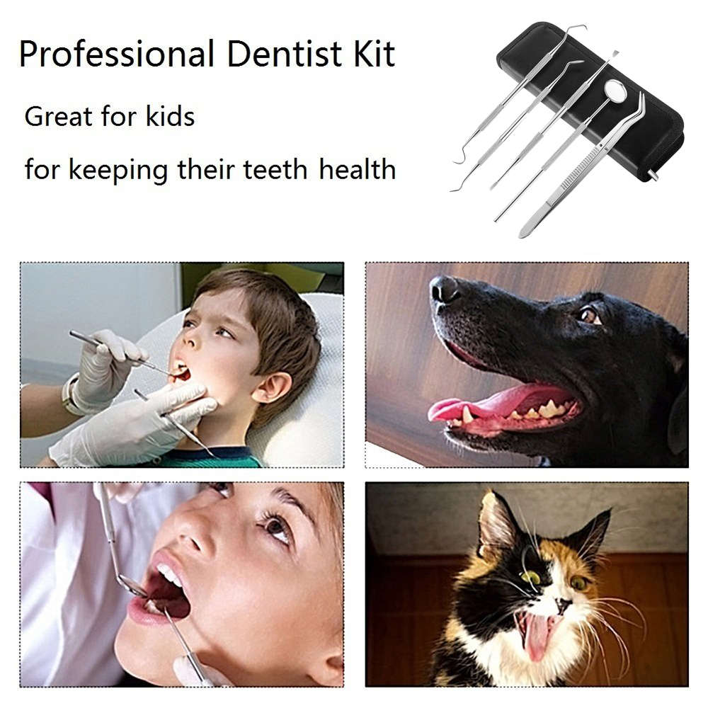 Professional Stainless Steel Dental Scaler Tools Kit Set - 5 Pieces