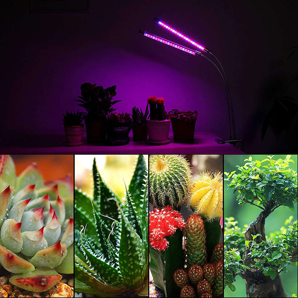 20W LED Dual Head Timing Plant Growing Lamp for Indoor Plants