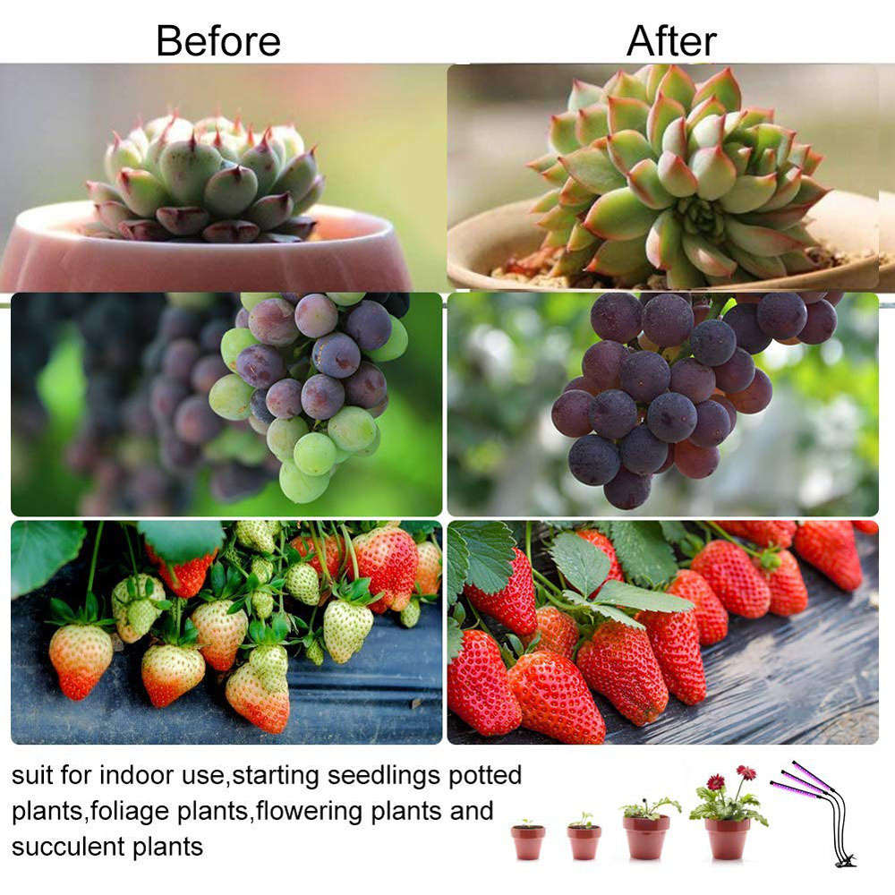 30W Auto ON/Off 3 Head Timing LED Plant Grow Light