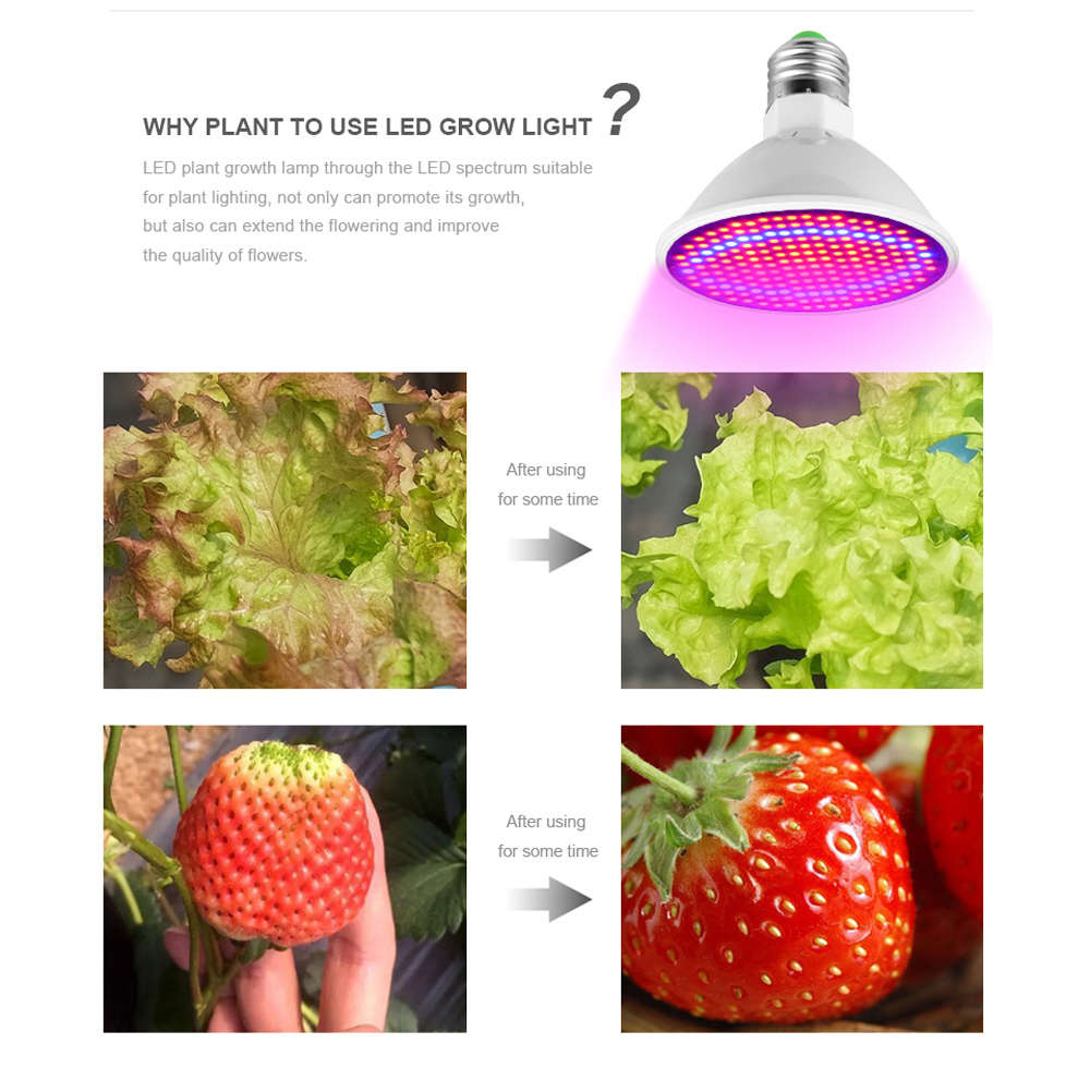 Full Spectrum 200 LED Plant Grow Light Bulb