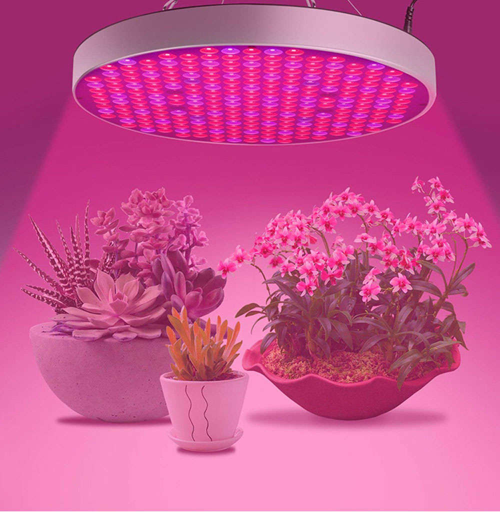 50W UFO Led Grow Light For Plants Indoor Flowering