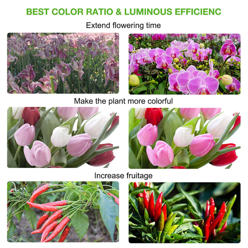 5 Piece Led Grow Lights Full Spectrum Led Lamp for Plants Flower Growth