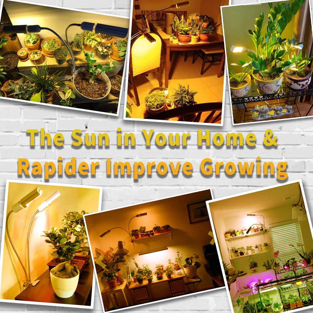 Dual Head 45W Led Sunlike Full Spectrum Plant Grow Light with Auto Timer