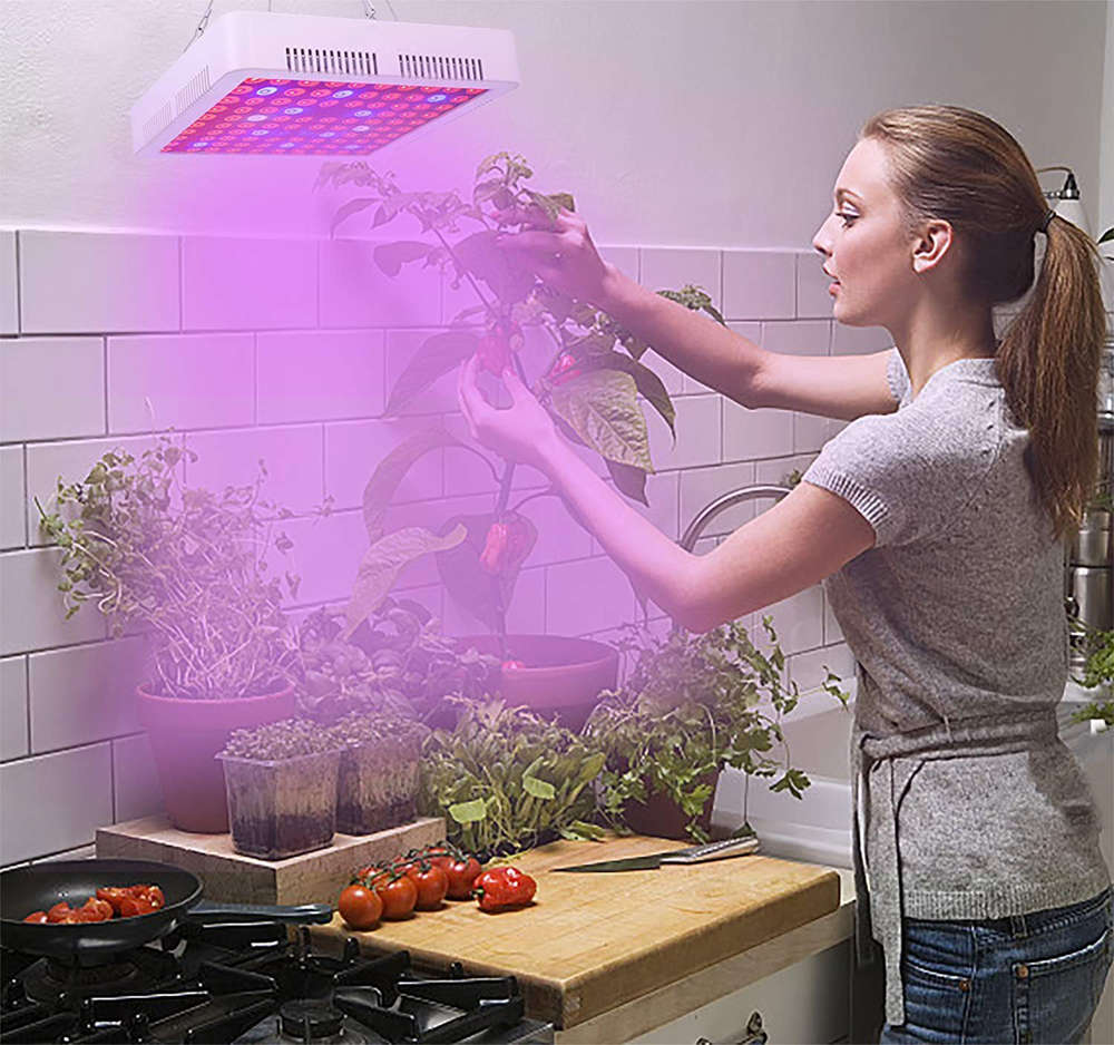 300W Full Spectrum LED Grow Light for Indoor Plants and Flower