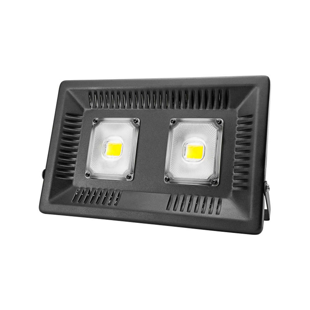 100W Full Spectrum COB LED Grow Light for Indoor Plants