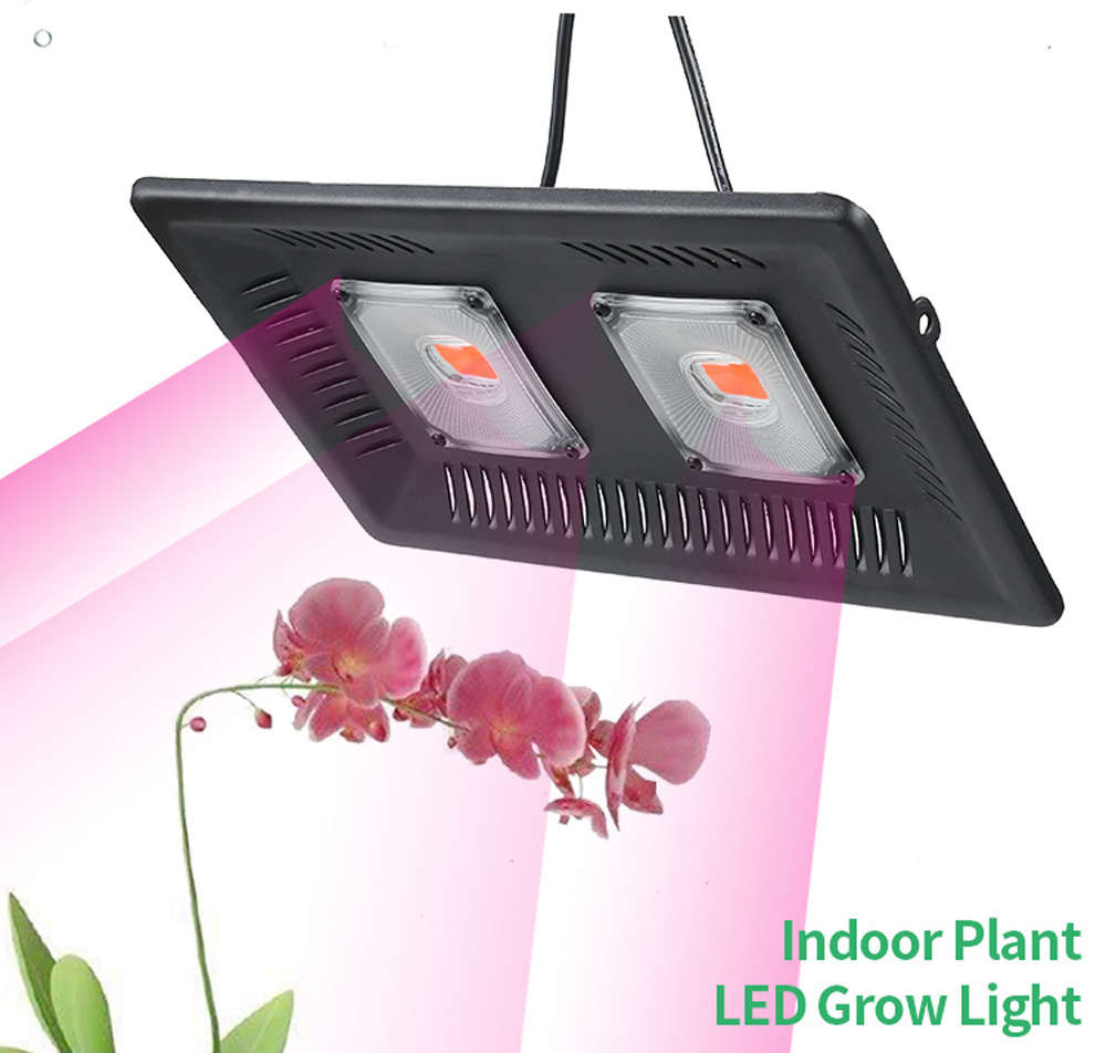 100W Full Spectrum COB LED Grow Light for Indoor Plants