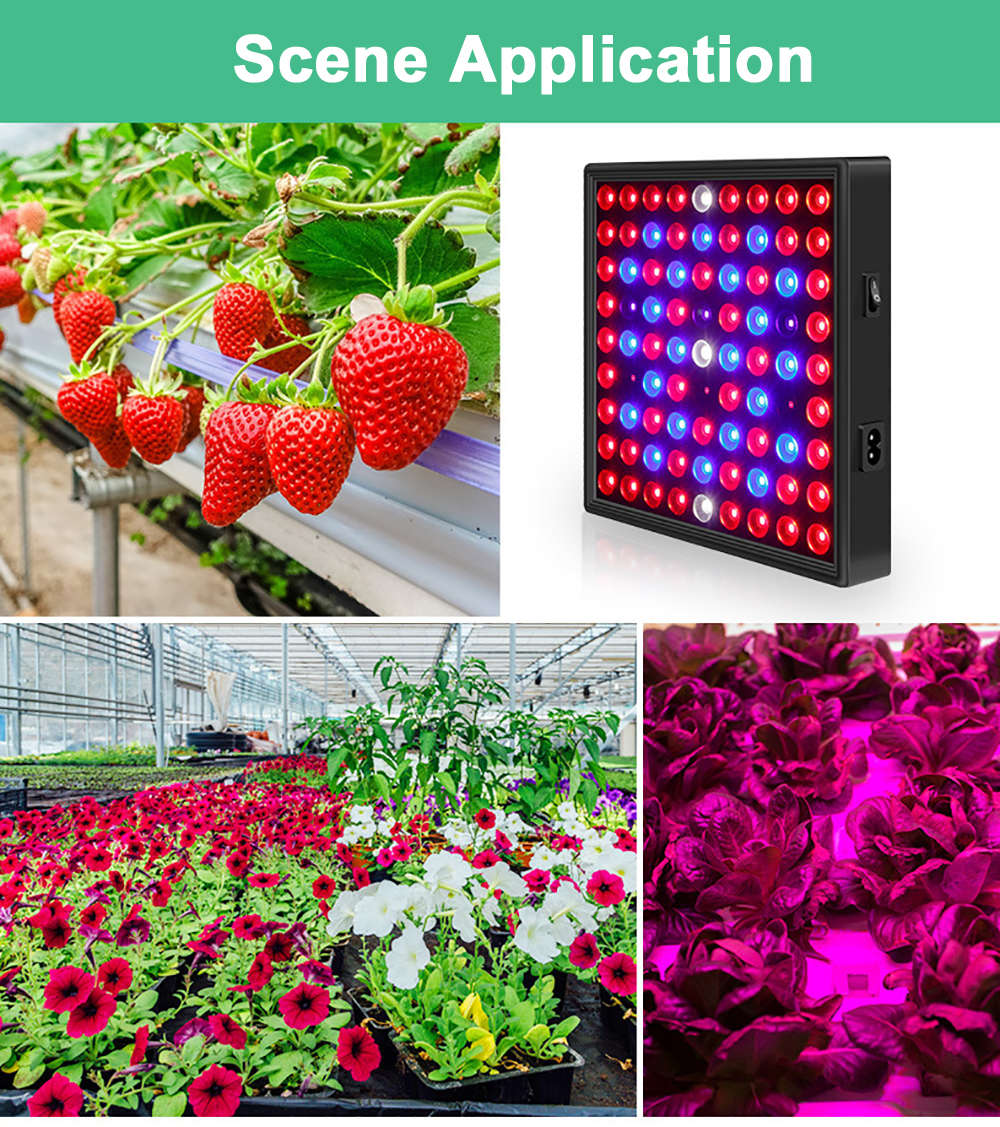 50W Full Spectrum Grow Light for Indoor Plants