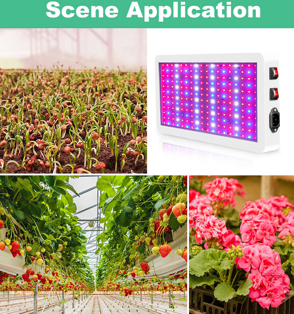 Double Switch Dessign Full Spectrum LED Grow Light For Plants Growth