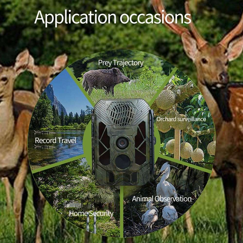 20MP Night Vision Waterproof Wildlife Monitoring Sound Trap Trail Camera