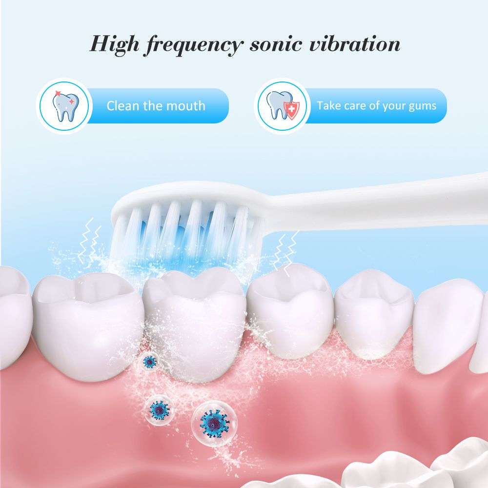 5 Modes Sonic Vibration Electric Toothbrush with 2 Brush Head