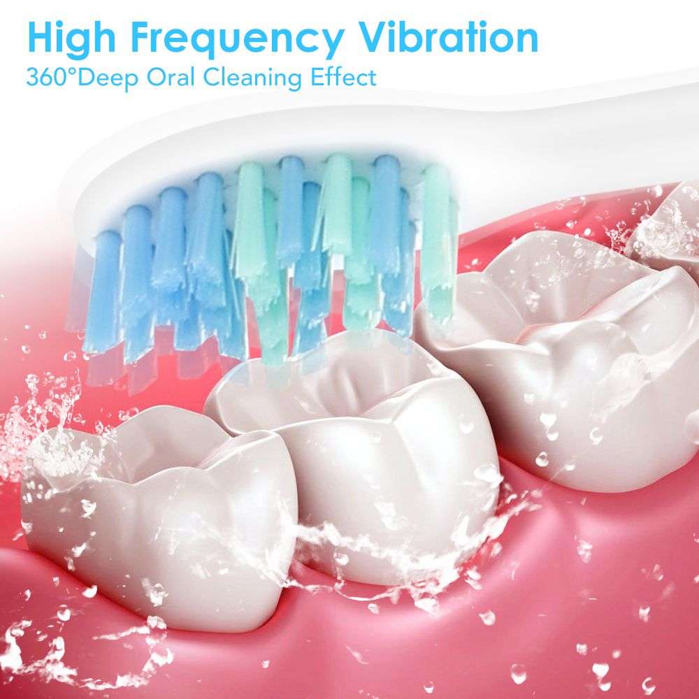 Electric Sonic Vibration Toothbrush with 6 Brush Heads - White