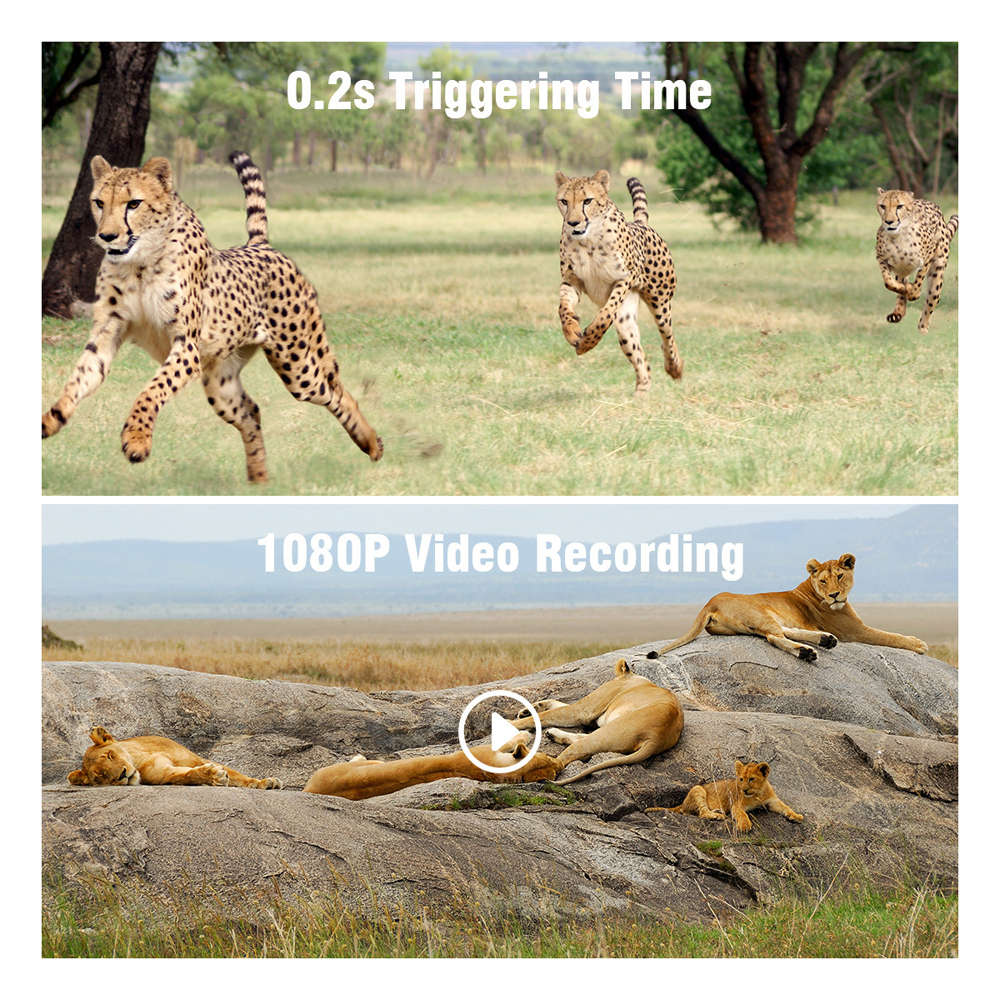 16MP 1080P Digital Night Vision Hunting Wildlife Trail Camera