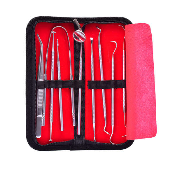 Stainless Steel Dental Pick Oral Care Kit - 9 Piece