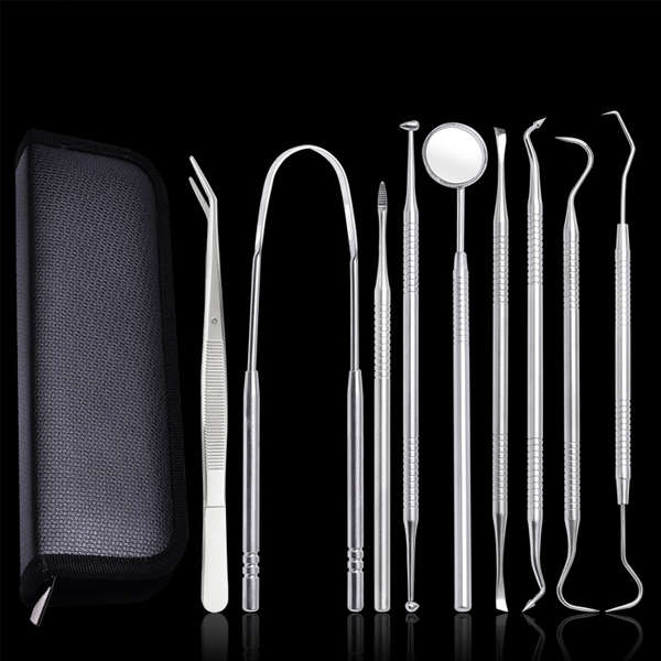 Stainless Steel Dental Pick Oral Care Kit - 9 Piece