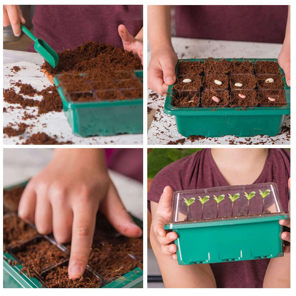 Seed Starter Trays with Grow Light Seed Starter Kit Plant Starter Kit