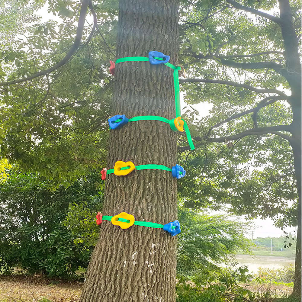 Ninja Tree Climbing Holds for Kids Climbing Rocks Ratchet Straps