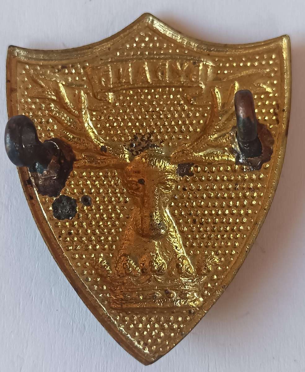 Cape Town Highlanders sporran badge (CO225)