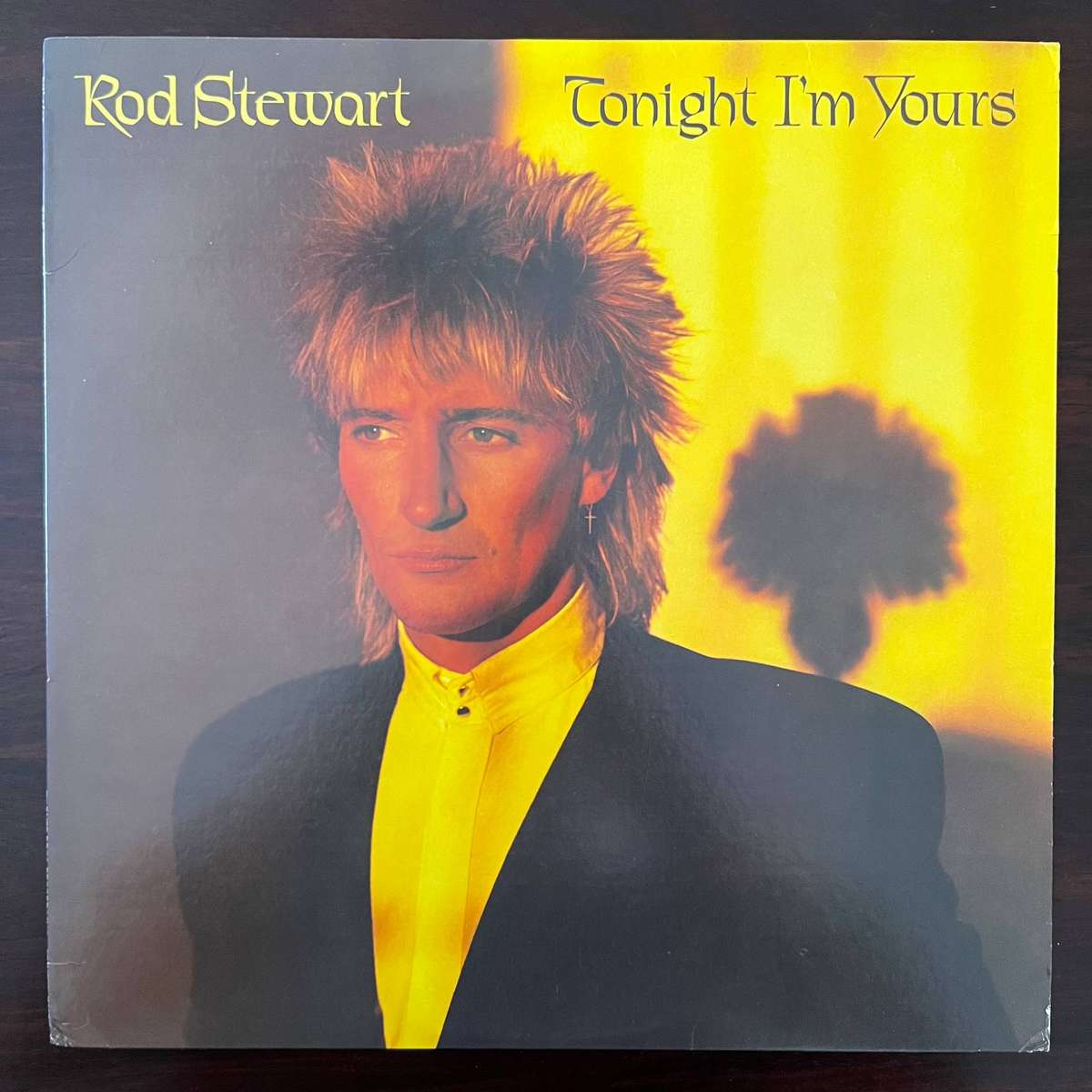 Rod Stewart - Tonight I'm Yours Vinyl LP US Press Import