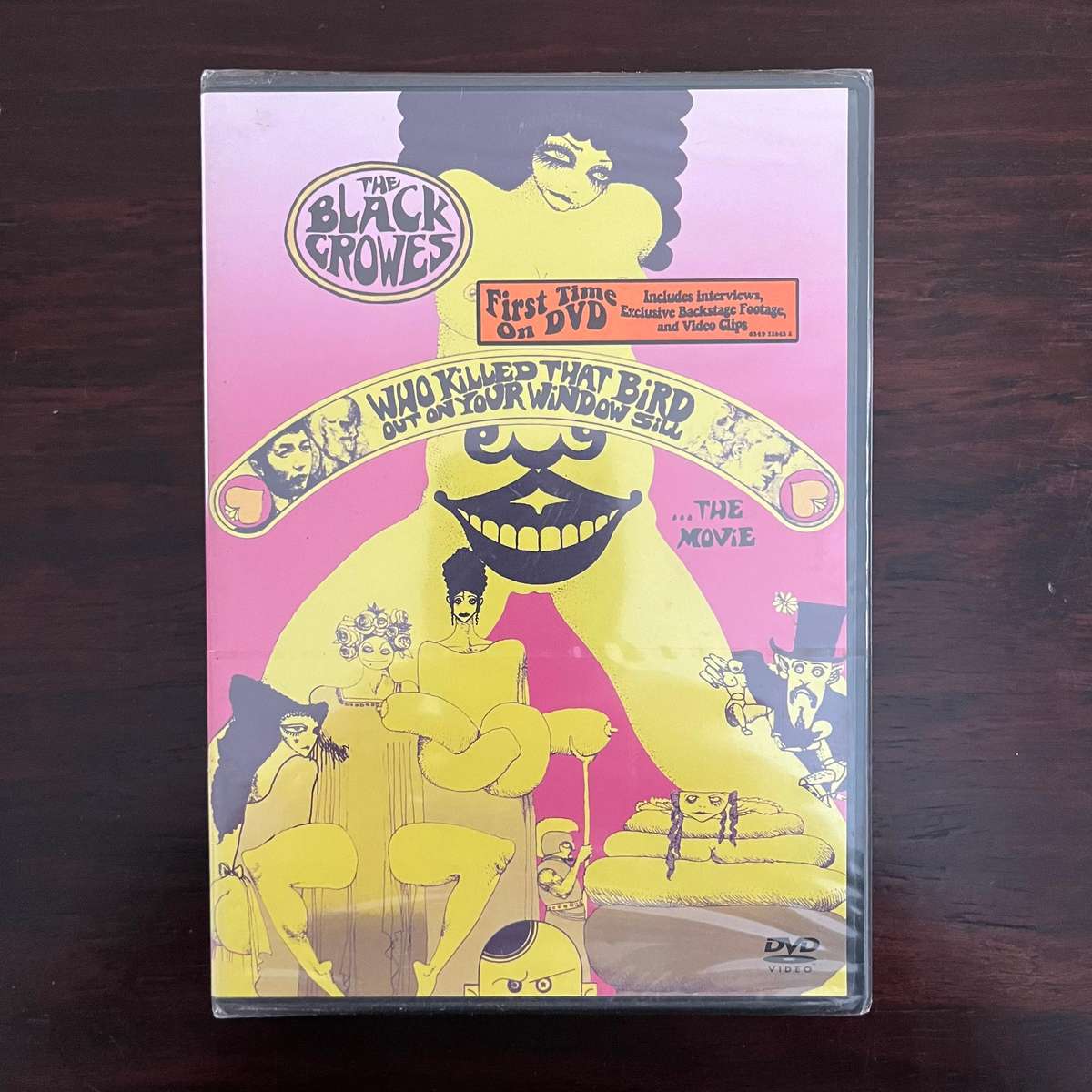 The Black Crowes - Who Killed That Bird Out On Your Window Sill ...The Movie DVD New and Sealed