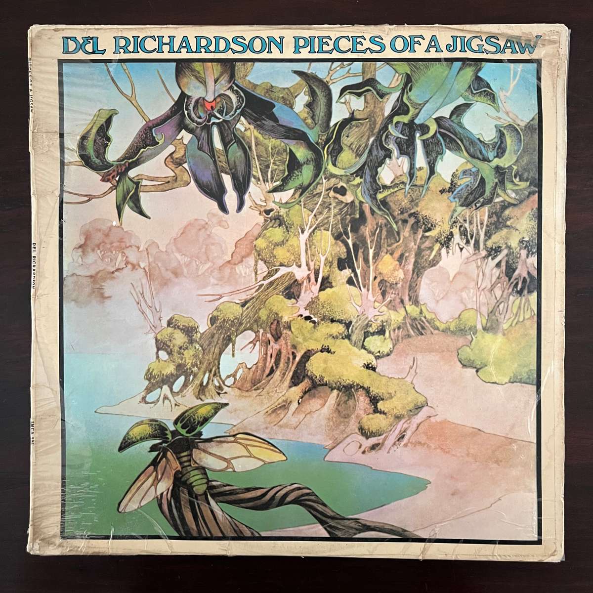 Del Richardson (Osibisa) - Pieces Of A Jigsaw Vinyl LP South African Press Rare Funk Soul