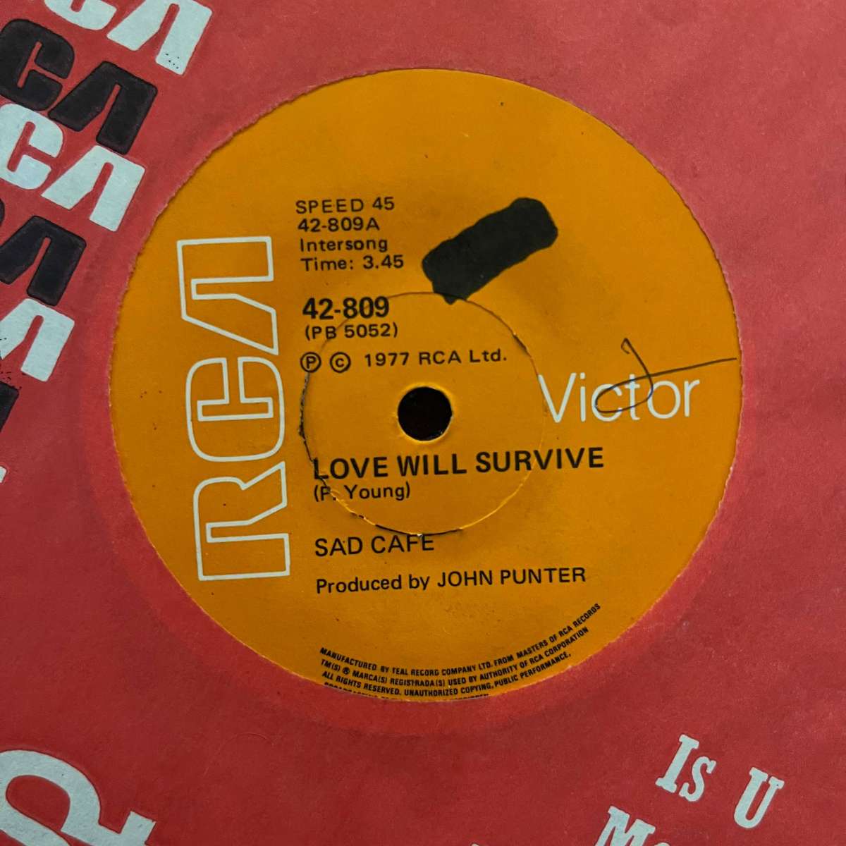 Sad Cafe - Love Will Survive Vinyl 7 Inch Single South African Press