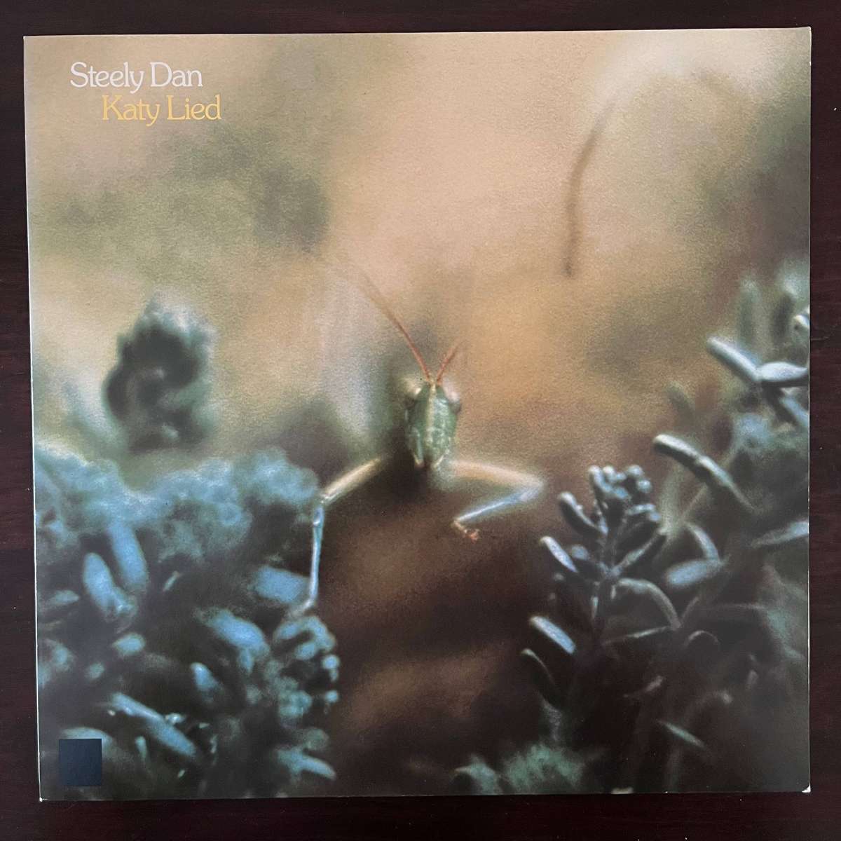 Steely Dan - Katy Lied Vinyl LP German Press