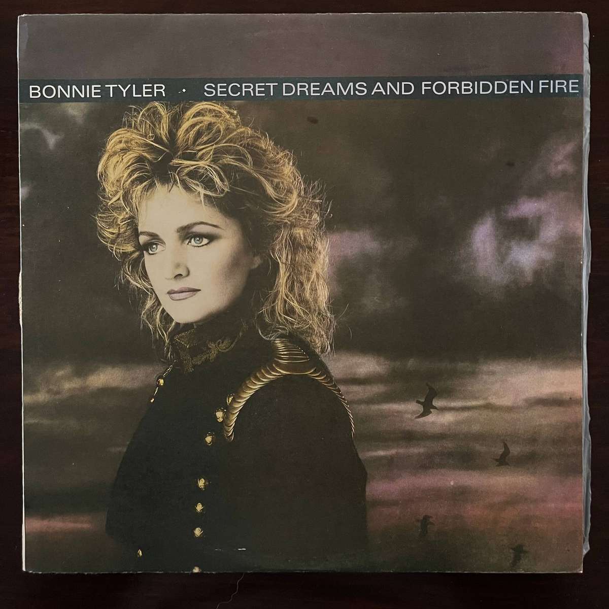 Bonnie Tyler - Secret Dreams and Forbidden Fire Vinyl LP Zimbabwe Press