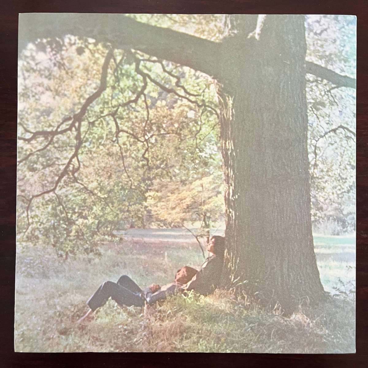 John Lennon & Plastic Ono Band - John Lennon / Plastic Ono Band Vinyl LP US Press