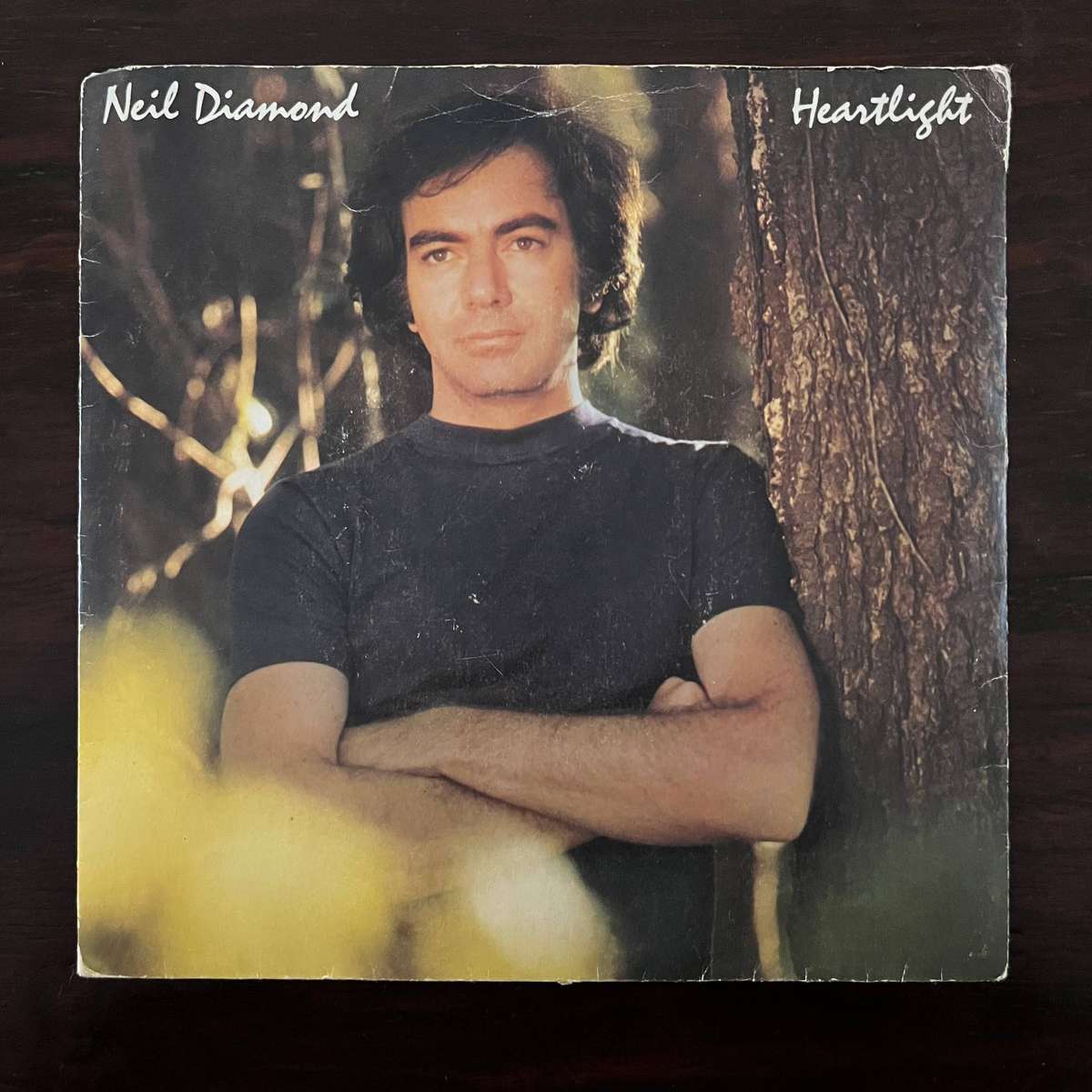 Neil Diamond - Heartlight Vinyl 7 Inch Single South African Press (2)