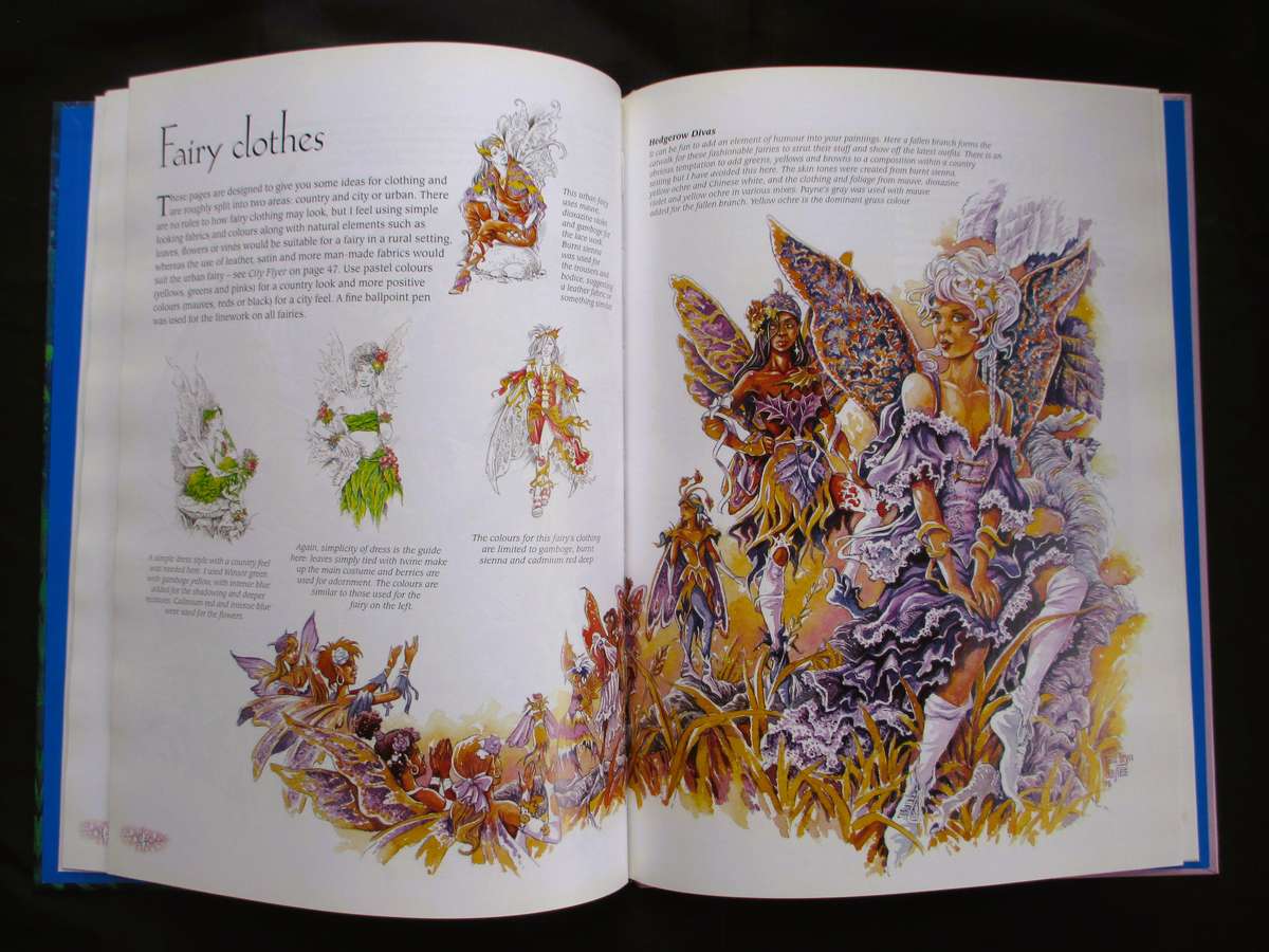 Painting Fairies in Watercolour Book by Paul B. Davies