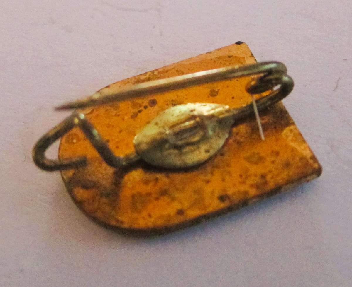 VintageEnamel Badge Austria Ski School Kitzbuhel