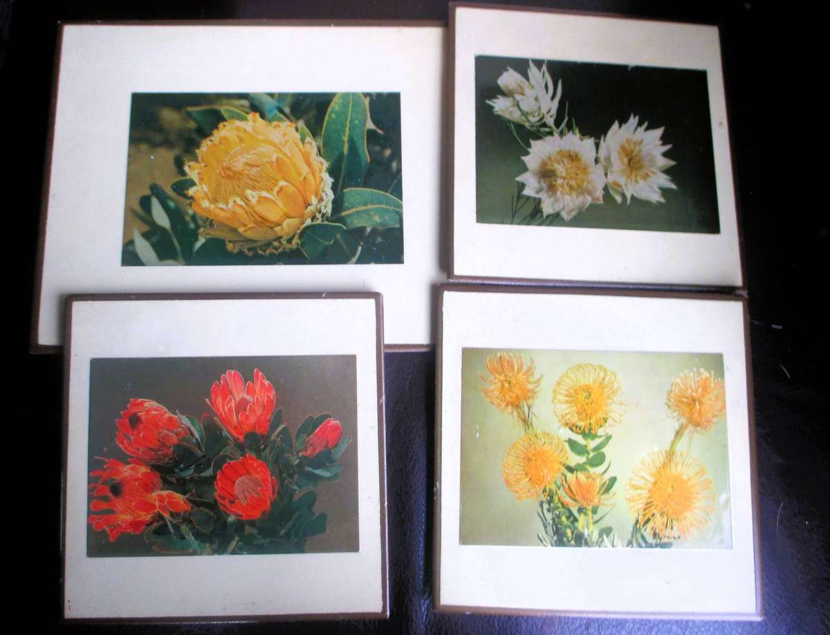 4x Vintage placemats, featuring South African Protea flowers, in box.