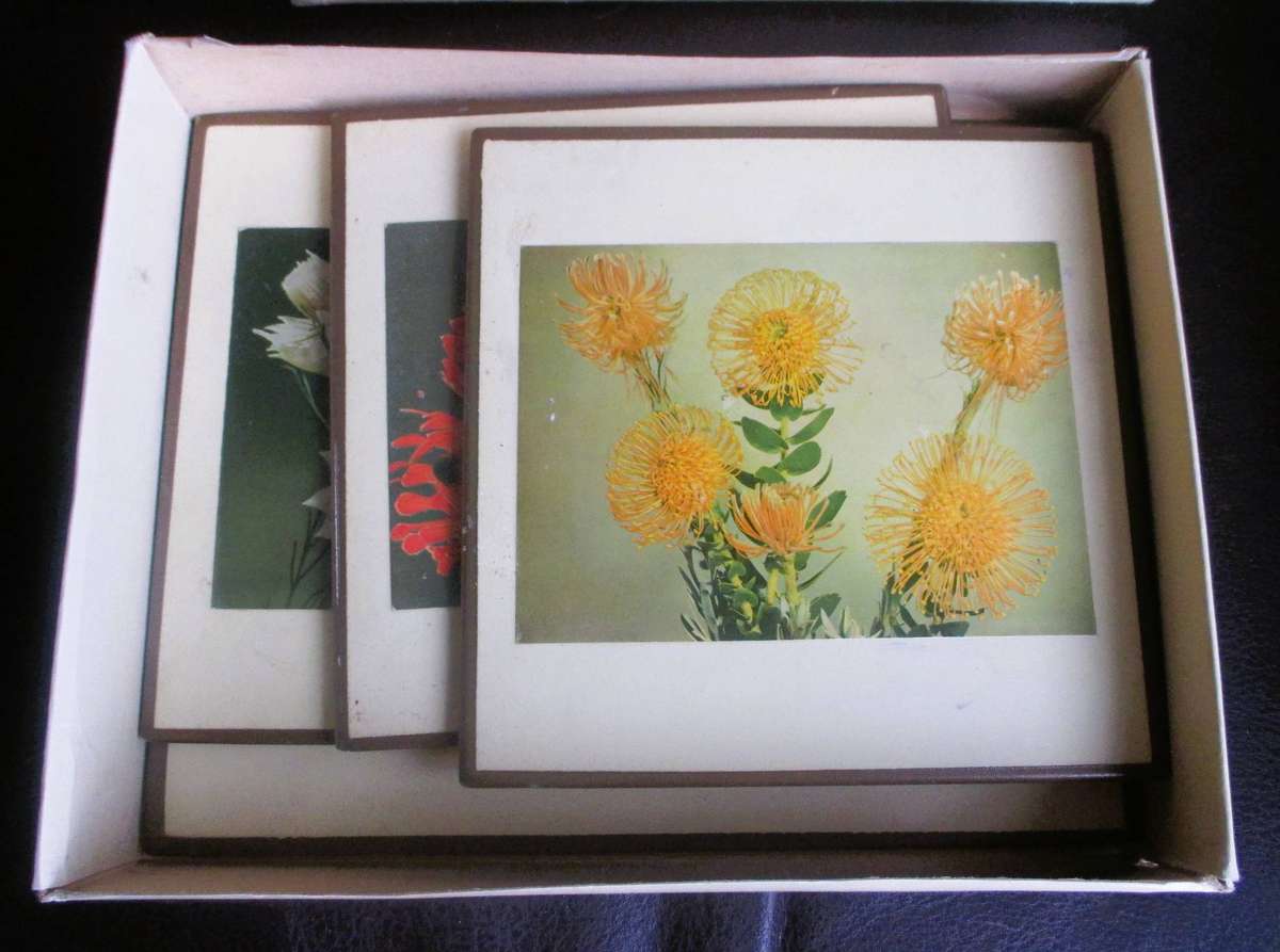 4x Vintage placemats, featuring South African Protea flowers, in box.