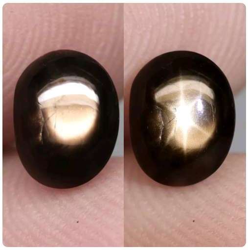 24.58Ct.  Sapphire Star 6 Rays Golden Green Oval Cabochon Large Unheated