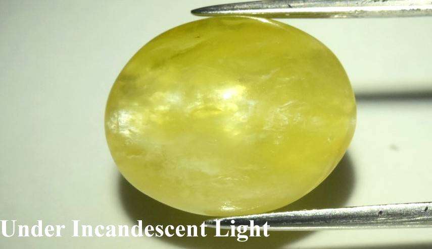 5.55ct Yellow Cat's Eye Opal Oval 12.8x10.3mm Cabochon  - Africa Gem Natural