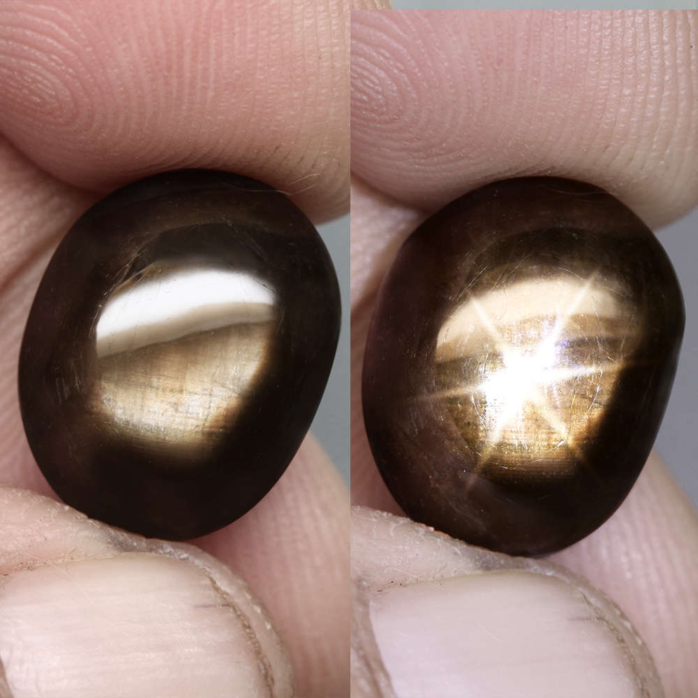 24.58Ct.  Sapphire Star 6 Rays Golden Green Oval Cabochon Large Unheated