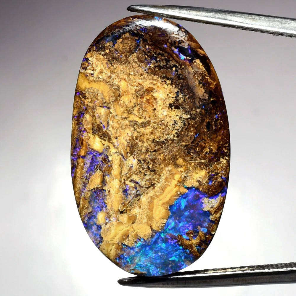 12.69ct Opalized Wood Fossil Boulder Opal Oval Natural- Queensland, Gemstone