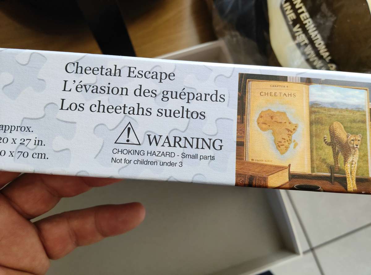 Puzzles Cheetah Escape