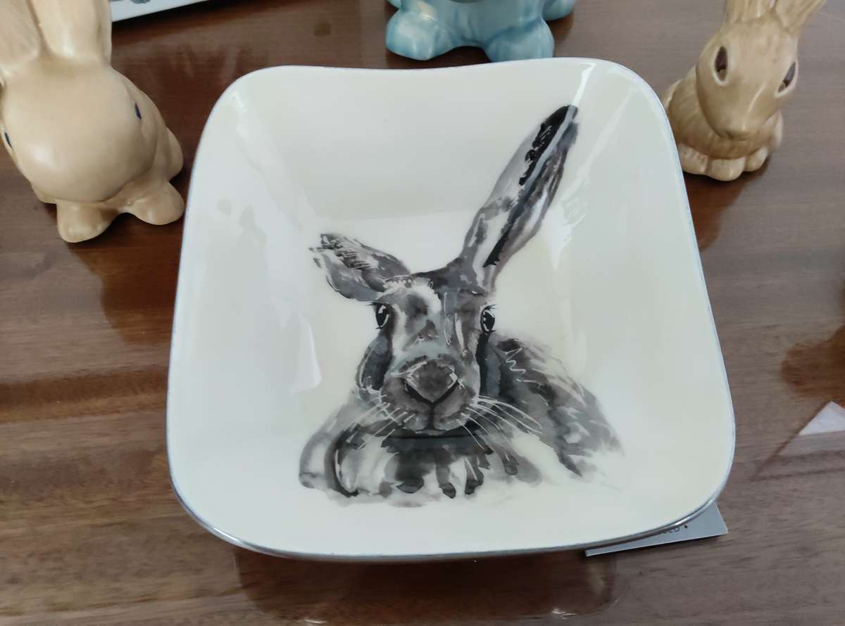 Tilnar art bunny with  slyvac bunnies