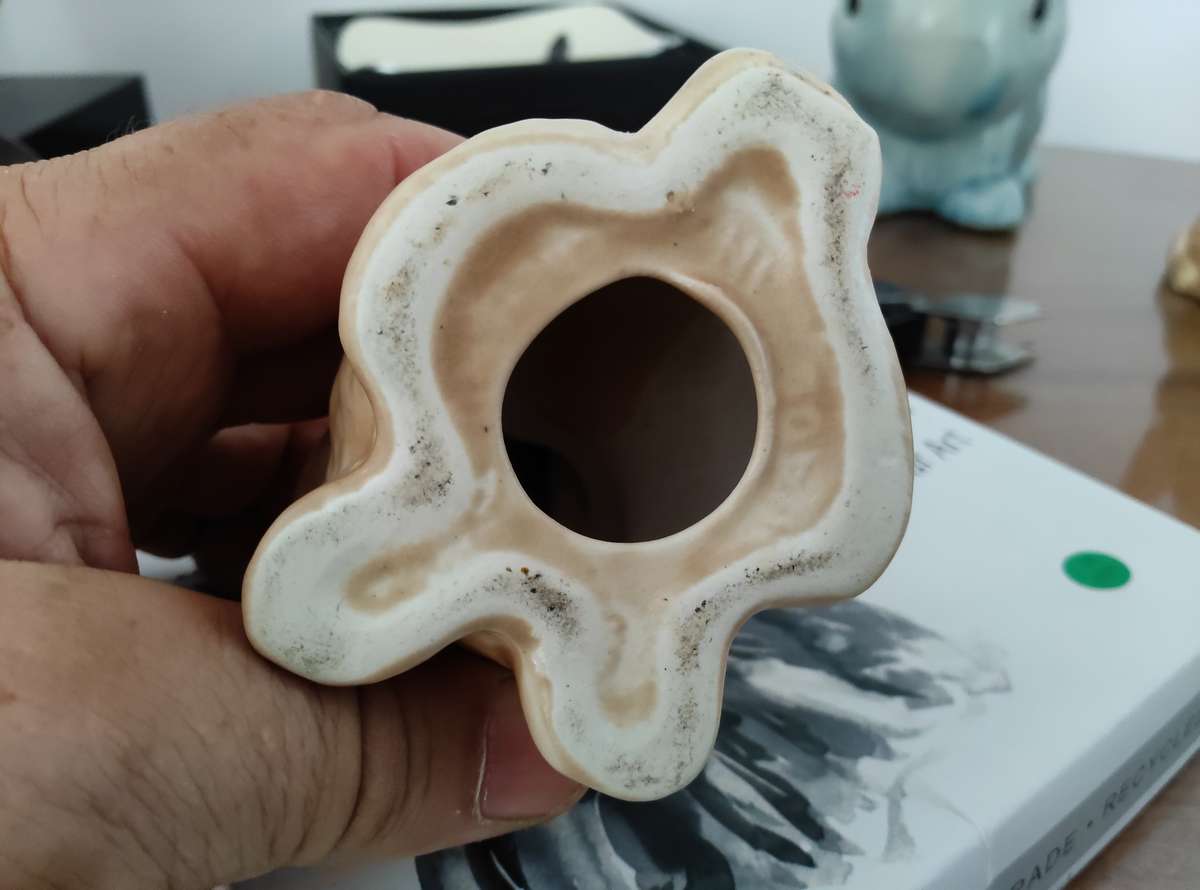 Tilnar art bunny with  slyvac bunnies