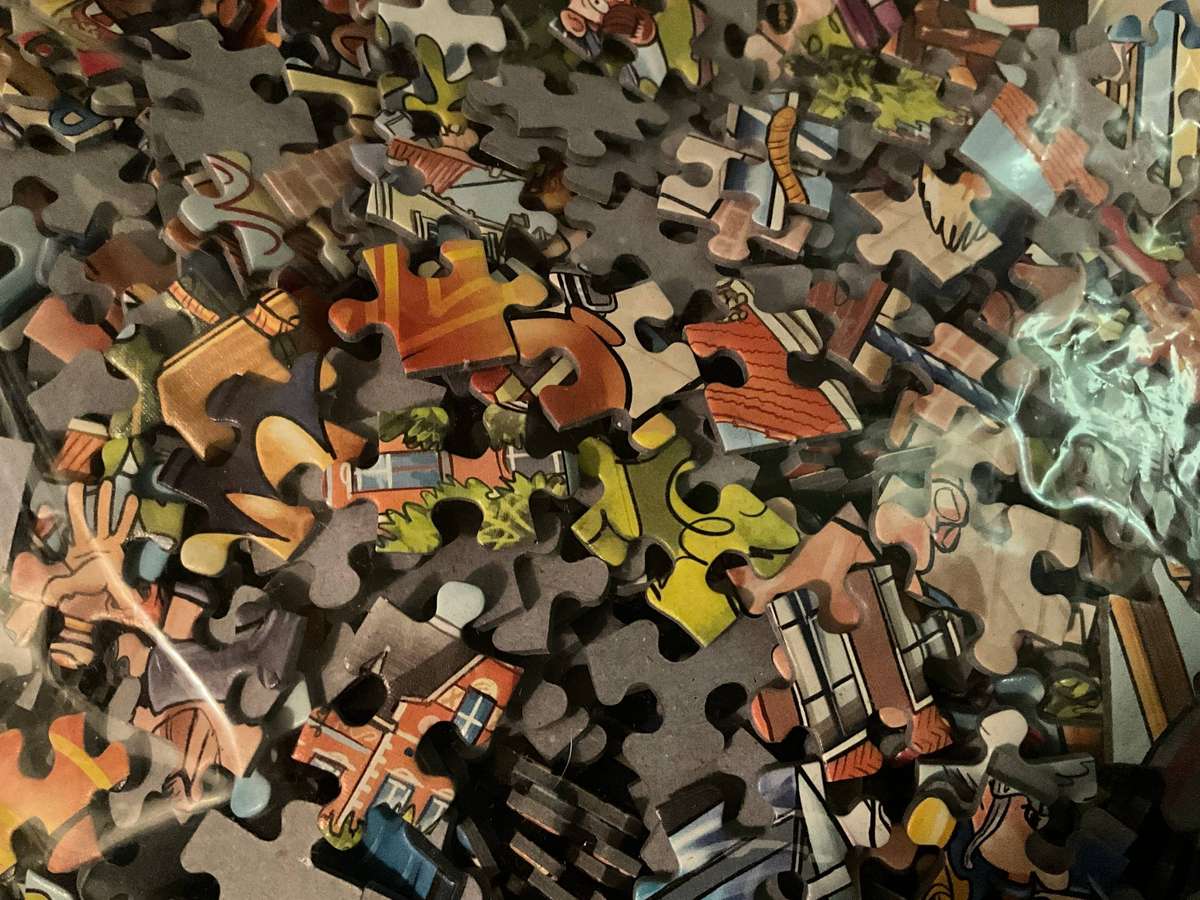 WASGIJ Puzzle 1000 MOVING DAY